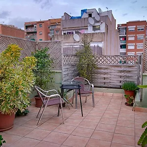 https://kamelly.catalonia-hotels.com